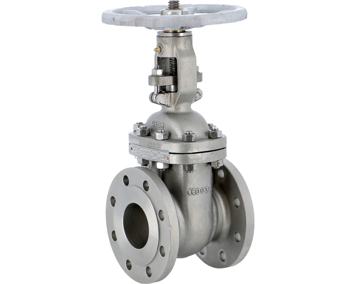 Cast stainless steel CF8M gate valve 148 RF PN16 DIN F4 DN50